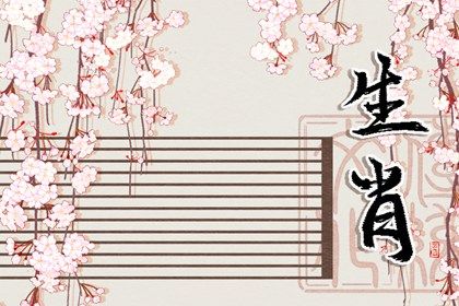 2023年的生肖是什么属性 属兔本命年注意事项