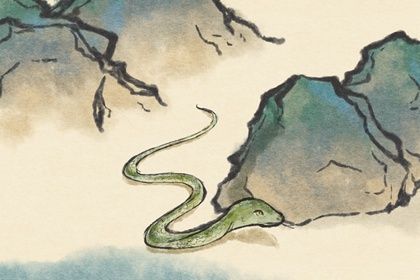 为什么算命的属蛇33岁发财 因为时机成熟及个性使然