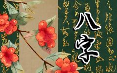 2023年什么八字比较好 财运好 事业稳定