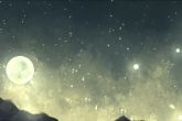 属虎的几点出生有福气命好 命中自带福星则一生万事如意