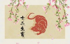 属鼠的一辈子的大劫 财运不好 感情不顺