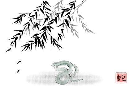 2022年下半年容易怀孕的生肖 属蛇感情幸福则多子多福