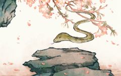 2023年生肖蛇幸运色是什么 粉色催旺桃花