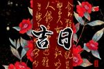好日子查询 2023年1月29日可以出行吗