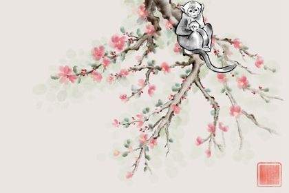 猴年是哪一年 属猴人的命运会如何