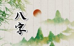 2023年有添丁的八字  得心应手 财运高涨