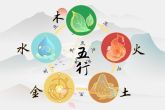 2023的五行是属什么 2023年出生的兔宝宝命运解析