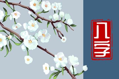 2023年兔宝宝正月出生 喜欢随遇而安容易获得满足