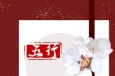 2023年兔子的五行属性 2023年兔宝宝的个性特征分析