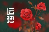 射手座2023年感情运势详解 感情失利且烂桃花多