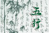 火命人适合种植行业 五行属火的行业禁忌分析
