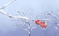 立冬节气的特点和风俗 立冬吃什么风俗食物