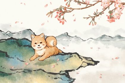 2023年属相感情运势 顺利脱单感情提升姻缘美好