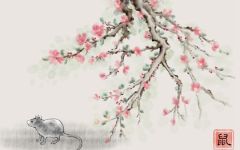 2023年属鼠人穿什么颜色衣服好 今年要注意什么