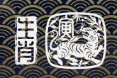 2022年虎年冬至男宝宝 富贵之气有福有财幸福无忧