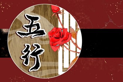 2023年是什么五行什么命 2023年出生性格运势如何