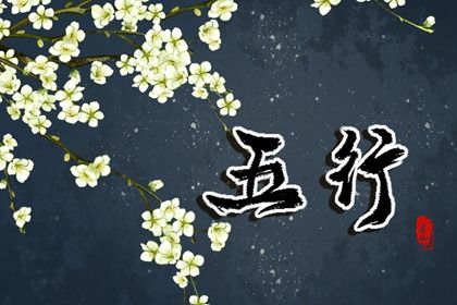 2023年五行查询表 2023年五行属性对照表完整版