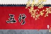 2023年1月28日出生的宝宝五行详解 本日出生火主礼则语言妄诞