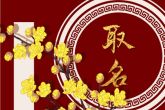春节生的小孩怎么取名字好听一点 铁骨铮铮安静淡雅