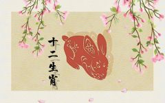 兔年本命年要注意什么 属兔2023年有什么讲究