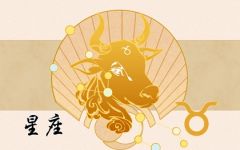 金牛座2023年全年运势详解 今年运气好不好
