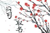 2023年寓意美好未来的公司名字 生意兴隆吉祥如意