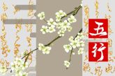 2023年2月13日宝宝出生的五行 本日出生水主智则足智多谋