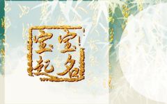 春节生的男孩名字怎么取好听 寓意美好 潇洒自在