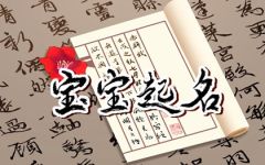 2023年兔宝宝好听的名字男宝 悦耳好听 大方简单