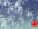 2023年名字大全有水有草 响亮大气的宝宝名字