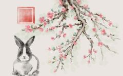 2023年生肖兔适合佩戴什么 吉祥物查询