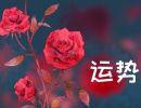 2023年2月28日生肖运势查询