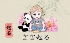 独一无二高姓男孩名字 好听内涵 霸气十足