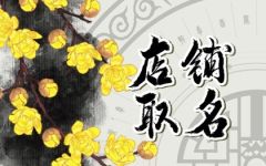 毛绒玩具店铺名字大全 高端大气的玩具店名