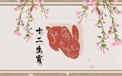 1987年属兔35岁后命数已定 事业上升 婚姻感情好