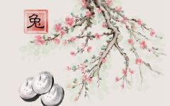 属兔哪年出生的 兔宝宝整体运势分析