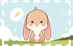男兔几月出生最好 属兔男几月最好命