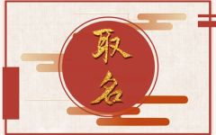 带鑫字的高雅店名 容易记忆的名字