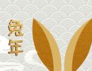 兔年未时出生的男孩命运如何 会经历很多磨难