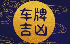 202车牌号怎么样 车牌202什么意思