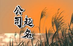 寓意好的两字公司名 简约好听的名字