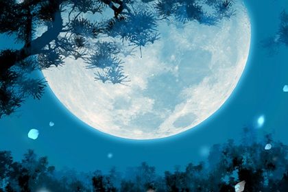 公司名字生僻字寓意好的字 好听独特名字