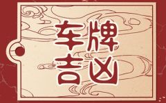 车牌号50选1诀窍 选豹子号攻略