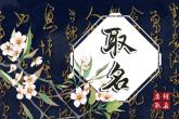 2023新生取名 适合兔年宝宝有内涵的名字