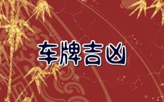 属蛇人最旺车牌号 哪个号码最吉祥