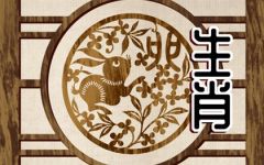 属兔的生在几月好 宝宝几月出生好命