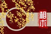 额头横纹面相解析 有横纹命运详解