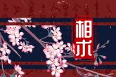 眉毛与眼睛的距离面相图解 命运会怎样
