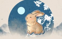 75兔年出生的人的命运 属兔人属于什么命