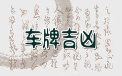 车牌292谐音代表什么意思 292好不好